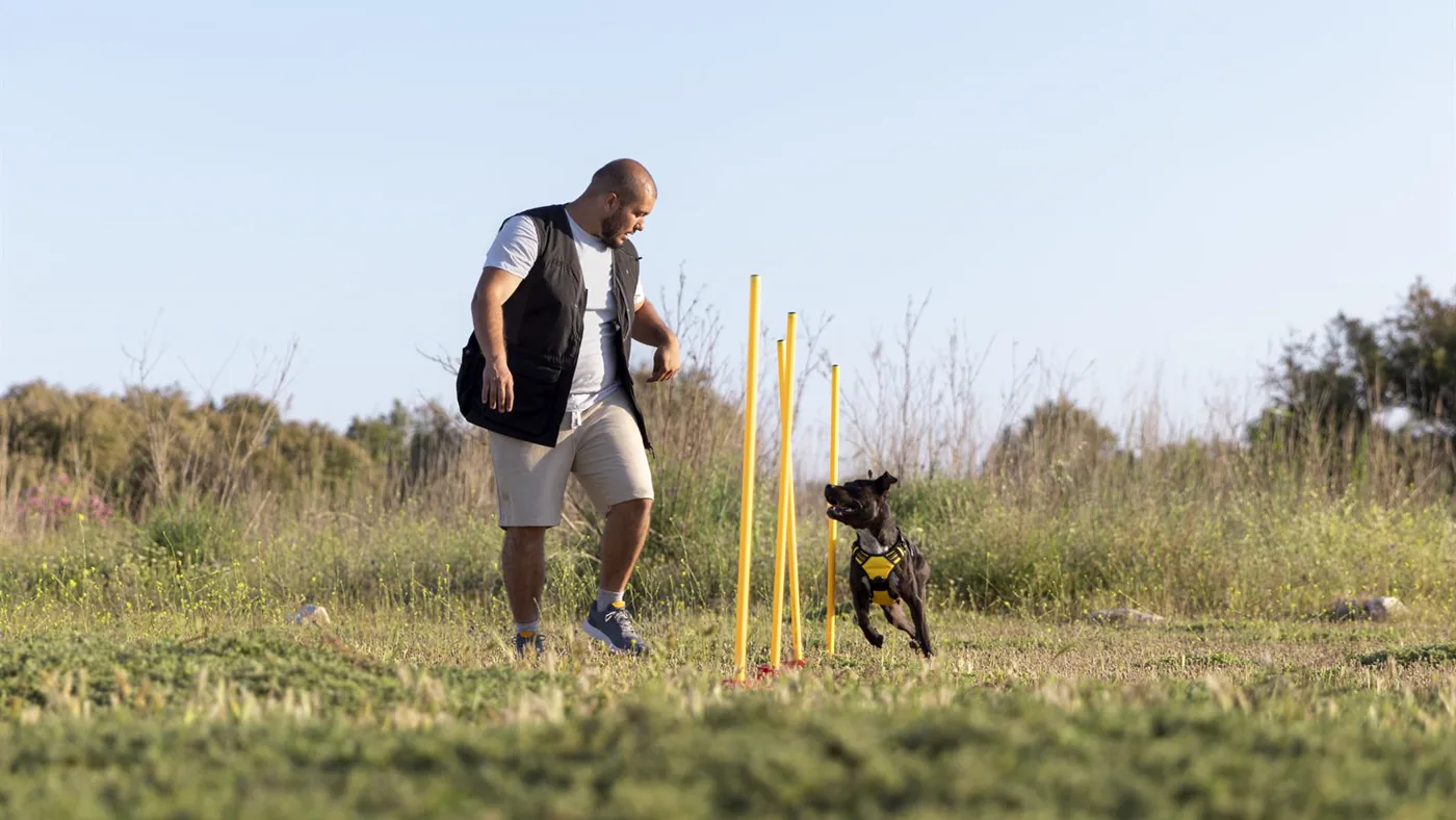 A dog trainer guiding a dog through agility obstacles during a group session.