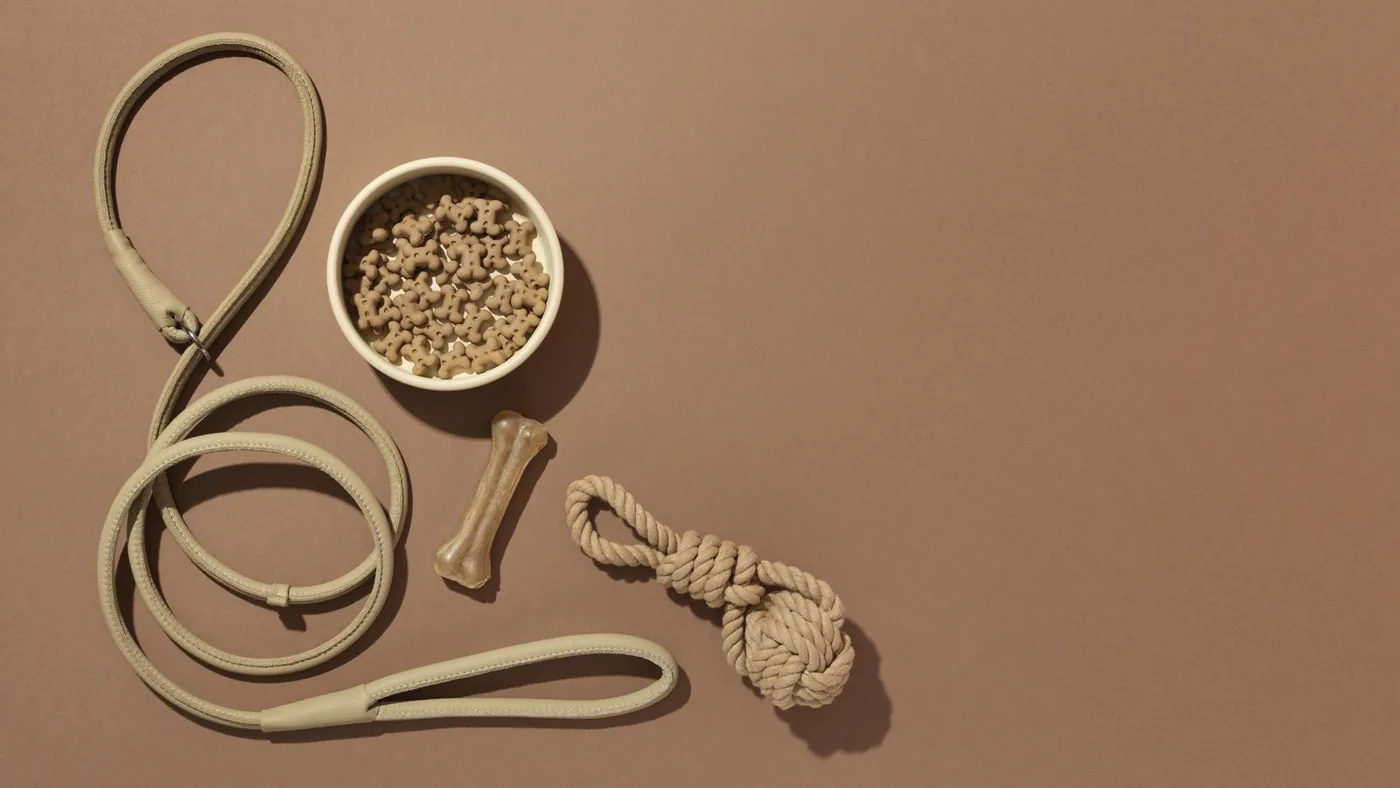 A styled arrangement of pet products: a leash, a bowl of kibble, a chew, and a rope toy.