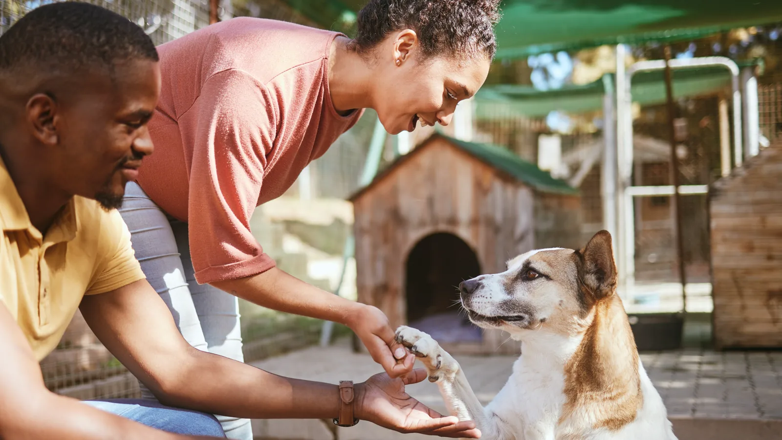A couple meeting a dog at an animal shelter adoption center.