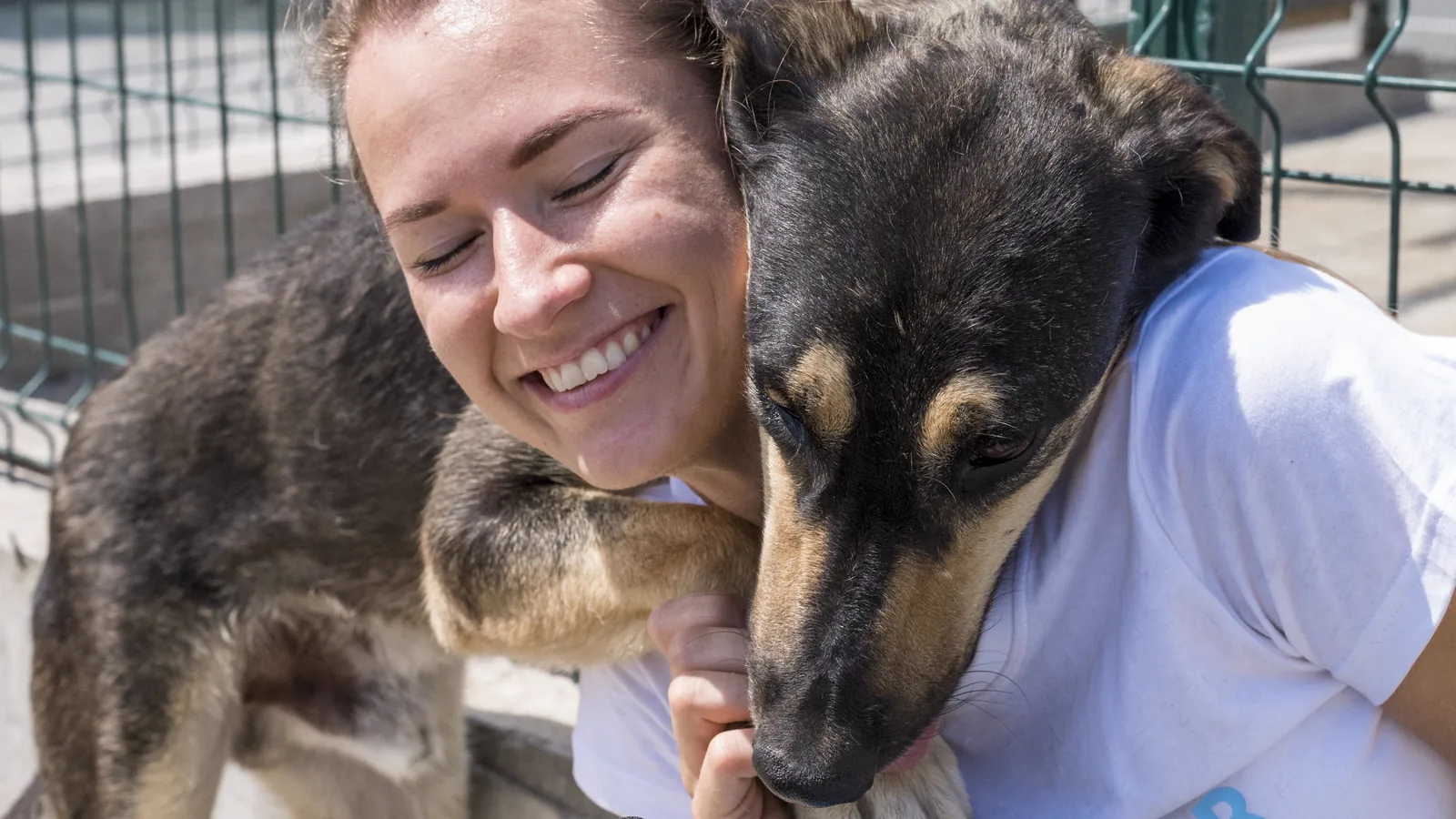 A shelter volunteer playing with a rescue dog waiting for adoption.
