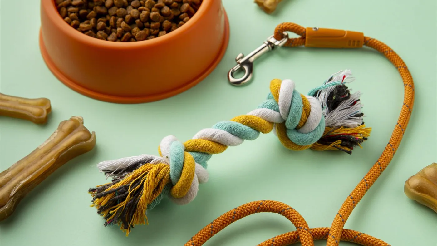 An assortment of pet products on a mint background: a bowl of kibble, dental chews, a rope tug toy, and a rope leash.