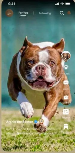 Chubb's Army app — pet social feed