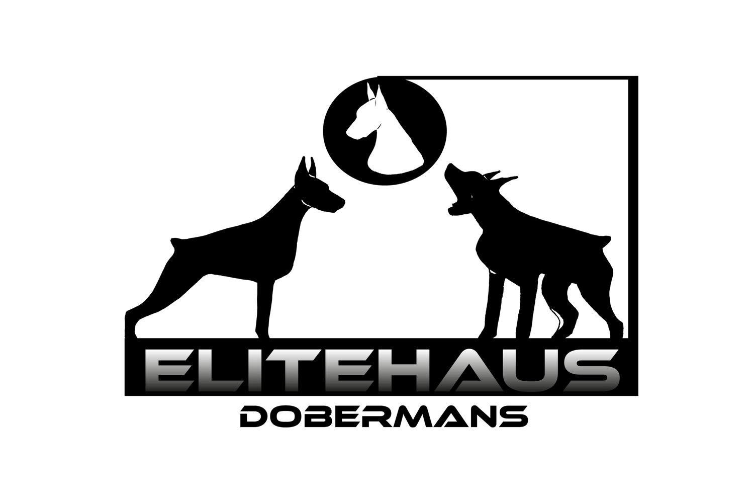 EliteHaus Dobermans
