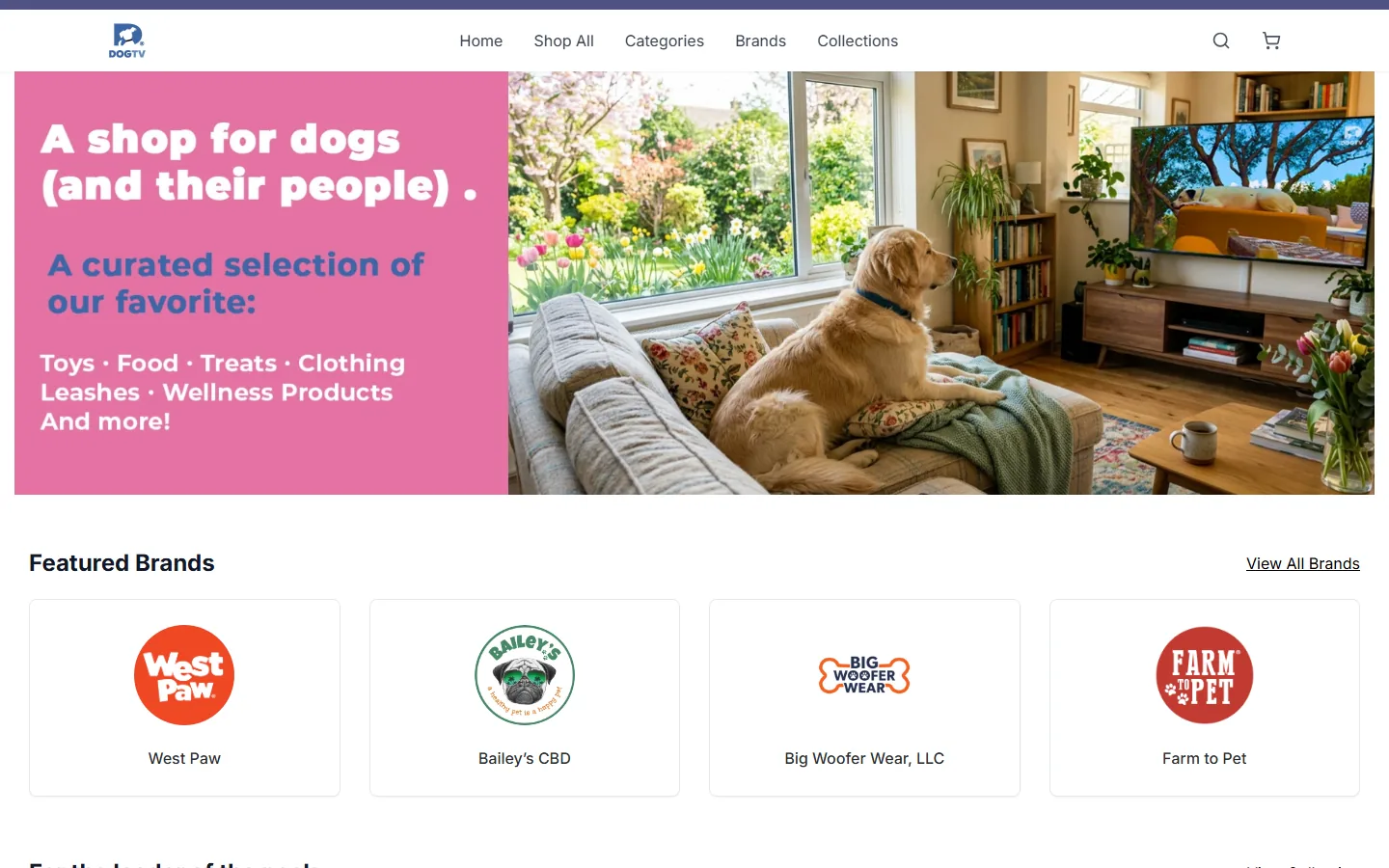 DOGTV storefront — live ShopDot store
